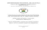 Universidad Nacional de Ucayali Ver El PDF