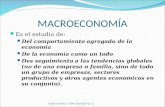 MACROECONOMIA 1