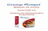 63456861 Manual de Ayuda SAE 4 6 Compaspel