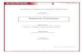 Report Prácticas5.1.3.6 y 6.4.3.5
