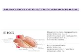 Electro Cardio Graf i A