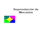 10 Segmentación de Mercados.pdf