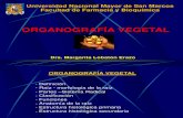 Clase 6 Organografia vegeteal 2014.ppt