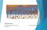 Expo Leptospirosis