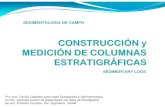 Columnas Estratigraficas.pdf