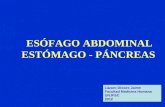 Esofago - Estomago - Pancreas 2012