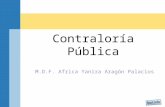 Contraloria Publica.ppt