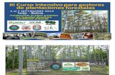 Promocion curso Plantaciones Forestales 2014 Tarija.pdf