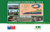Anuario Forestal 2013