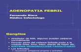 Adenopatia Febril - Dr. Riera