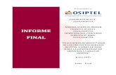 Informe Final OSIPTEL Rev.odc18 Publicable