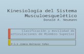 Kinesiología Del Sistema Musculoesquelético
