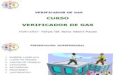 Presentacion Verificador de Gas2.1