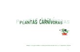 jardineria plantas carnivoras