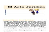 Acto Juridico, Manifestacion de Voluntad, Capacidad Juridica, El Objeto, La Finalidad y La Forma