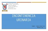 Gin - Incontinencia Urinaria - Ramos