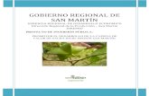 PIP Promover El Desarrollo de La Cadena de Valor de Sacha Inchi en San Martín