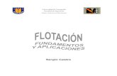 Flotacion Fundamentos y Aplicaciones Sergio Castro
