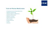 Guía de Plantas Medicinales (Web CEAC)