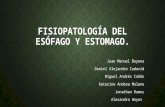 Fisiopatología Del Esófago y Estomago.