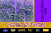 Plan de contingencia ante riesgo de sequía- Municipio de Jocotán, Chiquimula- Guatemala