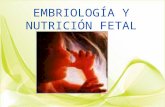Embriologia y Nutricion
