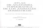 Popesko Peter - Atlas de Anatomia Topografica de Los Animales Domesticos Tomo I (SPG)