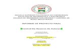 Ejemplo - Formato Informe - Proyecto Final (1)