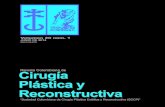 Cirugia Plastica y Reconstructiva Volumen 20 Nº 1 Junio 2014