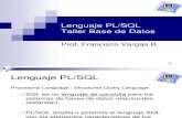 Lenguaje PLSQL (ppt)