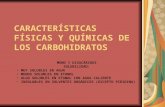 Caracteristicas Fisicas y Quimicas Carbohidratos Blanco y Negro
