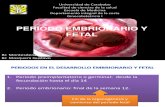 Periodo Embrionario y Fetal