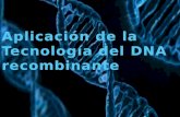 Aplicación de La Tecnología Del DNA Recombinante