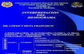 01 Interpretacion Hemograma 2008
