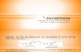 Juvabiona (Sintesis Total)
