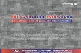 Álgebra Básica, Soluciones Con El Paquete Mathematica (2001)