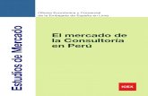 Mercado de Consultoria en El Peru