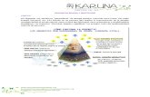 Energía Orgón Karuna