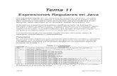 Tema 11 - Expresiones Regulares en Java