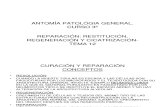 Anatomia - Patologia General