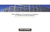 Perfilesestructurales Mexico
