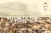 Estudio Potencial Biomasa Forestal