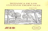 Botanica de Los Cultivos Tropicales