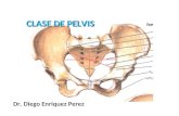 1ra Clase Pelvis Osteo Dr Enriquez