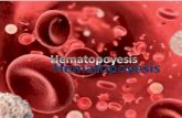 Hematopoyesis JOSE Analisis Clinico