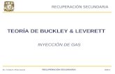 Ejercicio Buckley & Leverett (Gas)