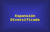 5. Expansion Diversificada