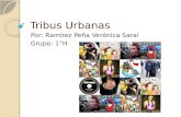 Tribus Urbanas Presentacion
