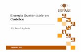 10.- Energia Sustentable en Codelco