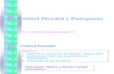 Control Prenatal y Partograma